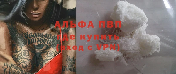 спиды Новозыбков