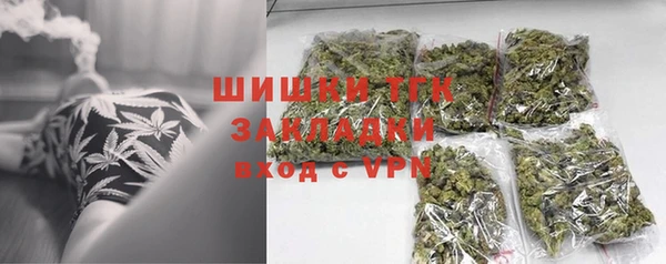 индика Новокубанск