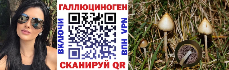 Галлюциногенные грибы Psilocybine cubensis  mega ссылка  Никольское 