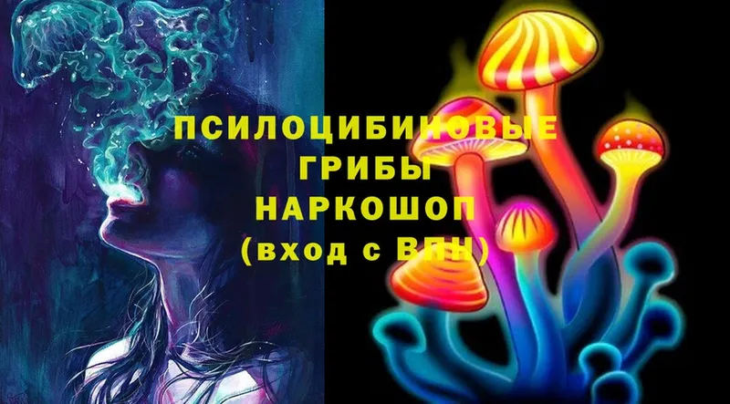 blacksprut маркетплейс  сколько стоит  Никольское  Галлюциногенные грибы MAGIC MUSHROOMS 